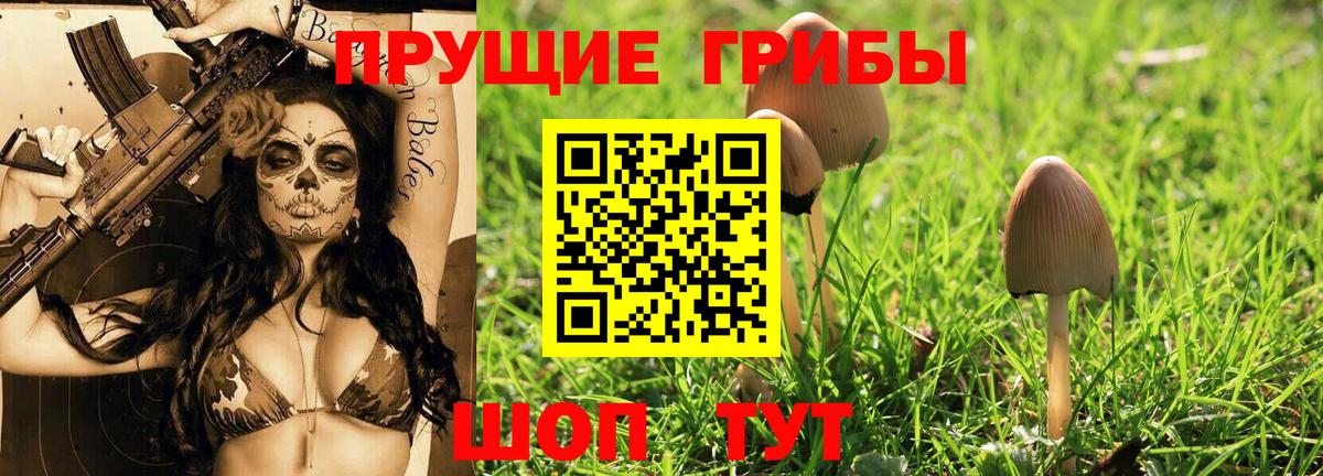 Ефремов  Галлюциногенные грибы Magic Shrooms  Вход с VPN  Псилоцибиновые грибы прущие грибы 